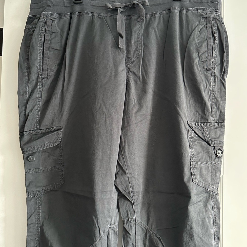Women’s plus size 24W 2 pairs Charcoal gray and Olive green Cargo Pants - Picture 4 of 16